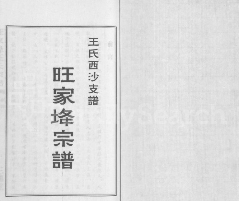 2009年修王氏西沙支谱旺家(土夅)宗谱 江苏江阴三槐堂王姓电子版族谱下载