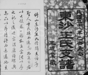 1949年修绮山东沙王氏支谱[16卷]江苏江阴三槐堂王姓电子版族谱下载