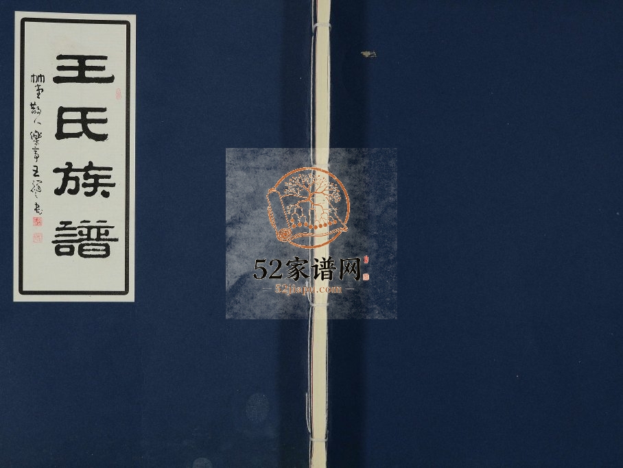 2012年修王氏族谱[不分卷]江苏泰兴王姓电子版家谱下载
