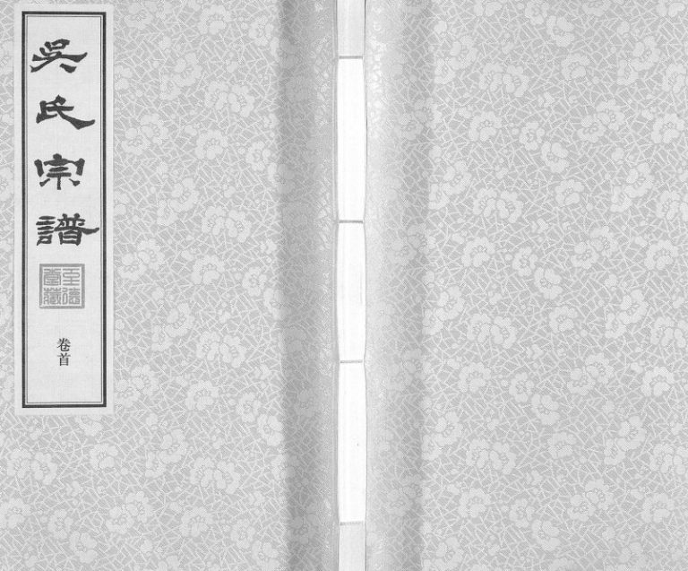2016年修至德堂吴下桥吴氏宗谱 江苏无锡吴姓电子版族谱下载
