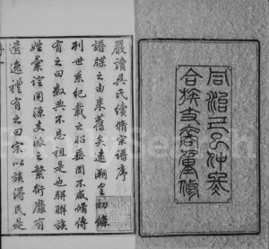 1869年修严读吴氏宗谱[40卷首1卷]江苏江阴来荆堂吴姓电子版族谱下载