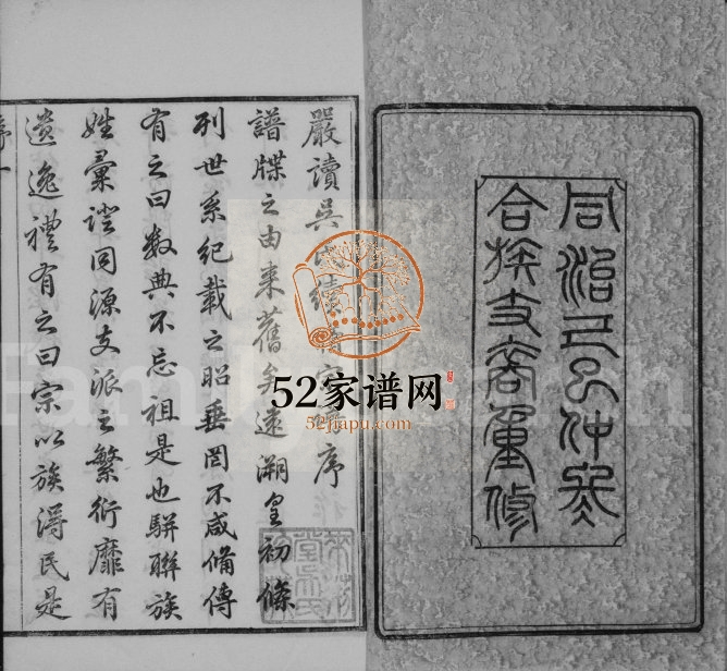 1869年修严读吴氏宗谱[40卷首1卷]江苏江阴来荆堂吴姓电子版族谱下载
