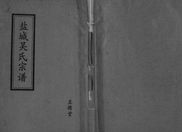 1993年修盐城吴氏宗谱[不分卷]江苏至德堂吴姓电子版族谱下载