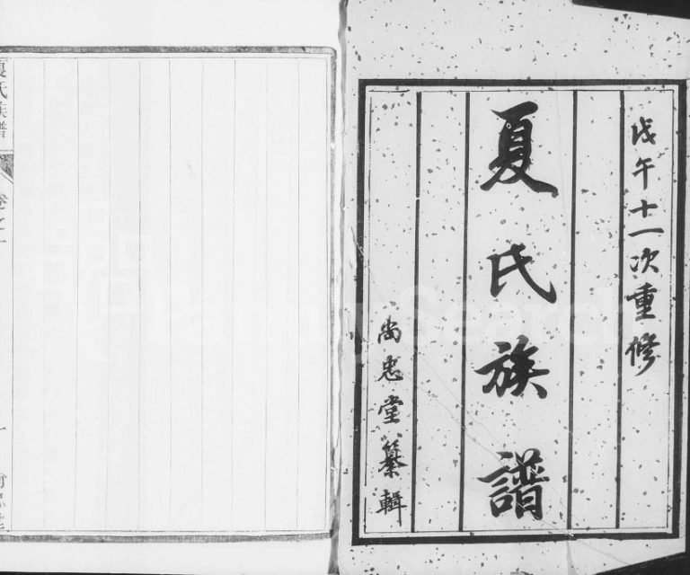 1918年江都祈沙夏氏重修族谱[20卷]江苏江都尚忠堂夏姓电子版家谱下载
