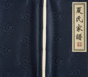 2008年修夏氏家谱[全1册]江苏靖江厚德堂夏姓电子版族谱下载