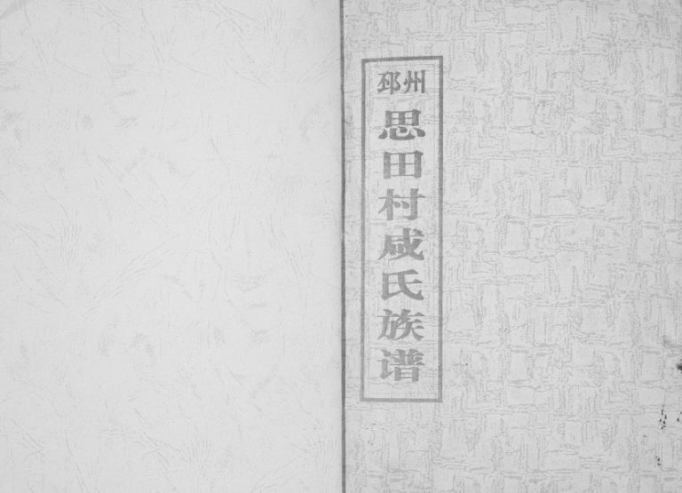 1993年修邳州思田村咸氏族谱 江苏咸姓电子版家谱下载