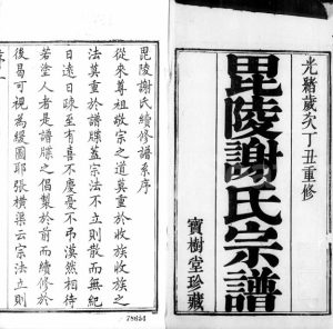 1877年修毘陵谢氏宗谱[36卷]江苏武进宝树堂谢姓电子版族谱下载