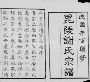1921年修毘陵谢氏宗谱[60卷首末各1卷]江苏武进谢姓电子版族谱下载