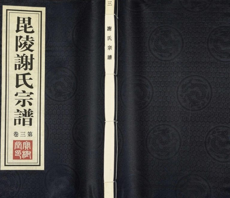 2011年续修毘陵谢氏宗谱[8卷]江苏武进宝树堂谢姓电子版族谱下载
