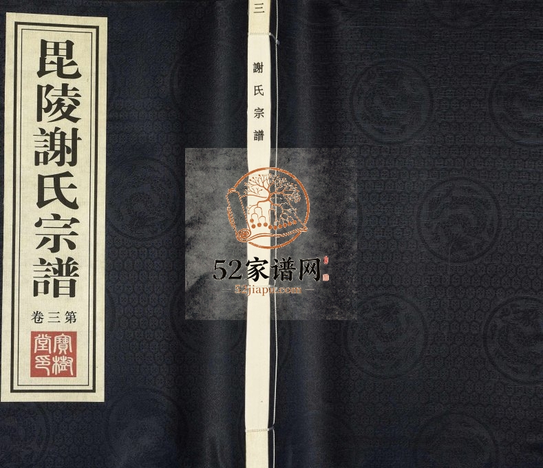 2011年续修毘陵谢氏宗谱[8卷]江苏武进宝树堂谢姓电子版族谱下载