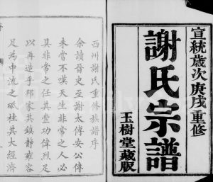 1910年修西州谢氏宗谱[10卷]江苏丹阳玉树堂谢姓电子版族谱下载