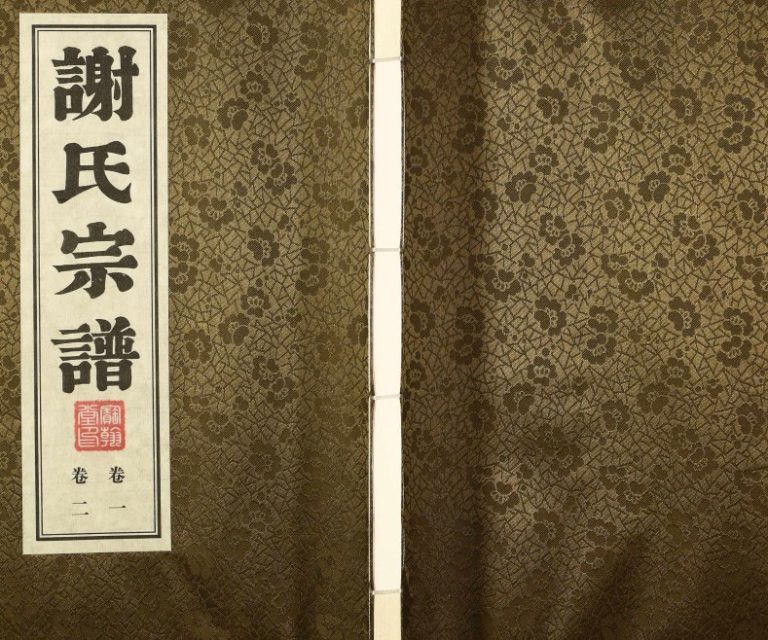 2018年修毘陵谢家巷谢氏宗谱[6卷]江苏武进宝翰堂谢姓电子版族谱下载