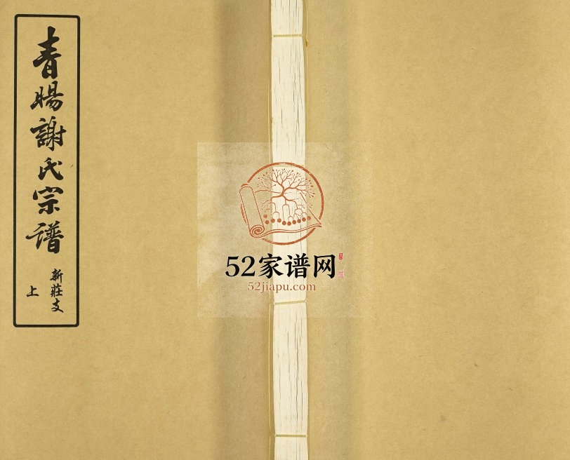 2011年修青旸谢氏宗谱新庄支 江苏江阴宝树堂谢姓电子版族谱下载