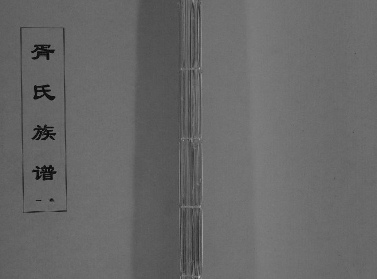 1919年五修胥氏族谱[4卷]江苏江都光裕堂胥姓电子版家谱下载
