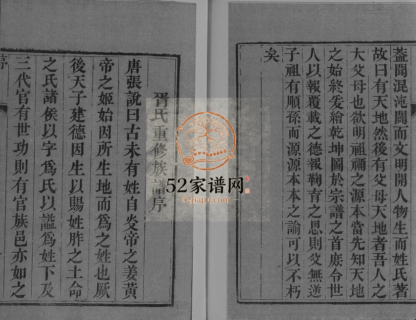 1919年五修胥氏族谱[4卷]江苏江都光裕堂胥姓电子版家谱下载