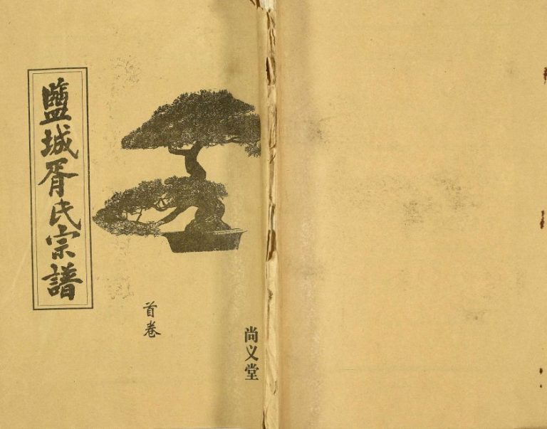 2004年修盐城胥氏宗谱[6卷首1卷]江苏尚义堂胥姓电子版族谱下载
