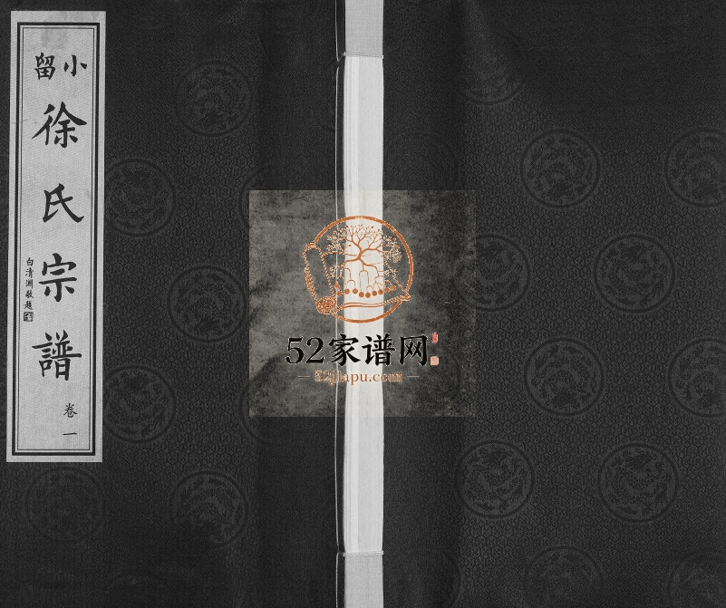 2010年十一修小留徐氏宗谱[19卷]江苏武进垂礼堂徐姓电子版族谱下载