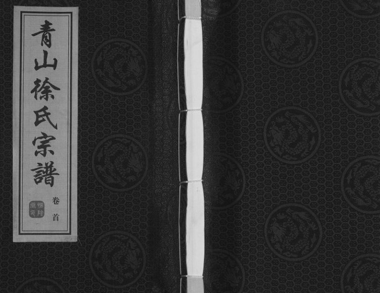 2012年修青山徐氏宗谱[28卷末首各1卷]江苏江阴惜阴堂徐姓电子版族谱下载
