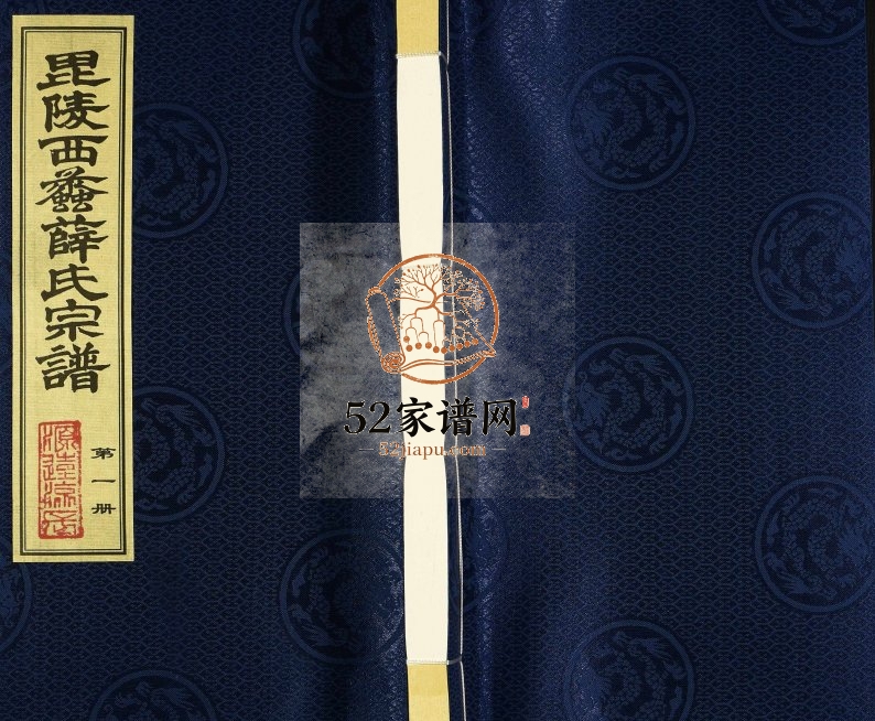 2013年毗陵西蠡薛氏八修宗谱[28卷]江苏武进三凤堂万荣薛姓电子版族谱下载
