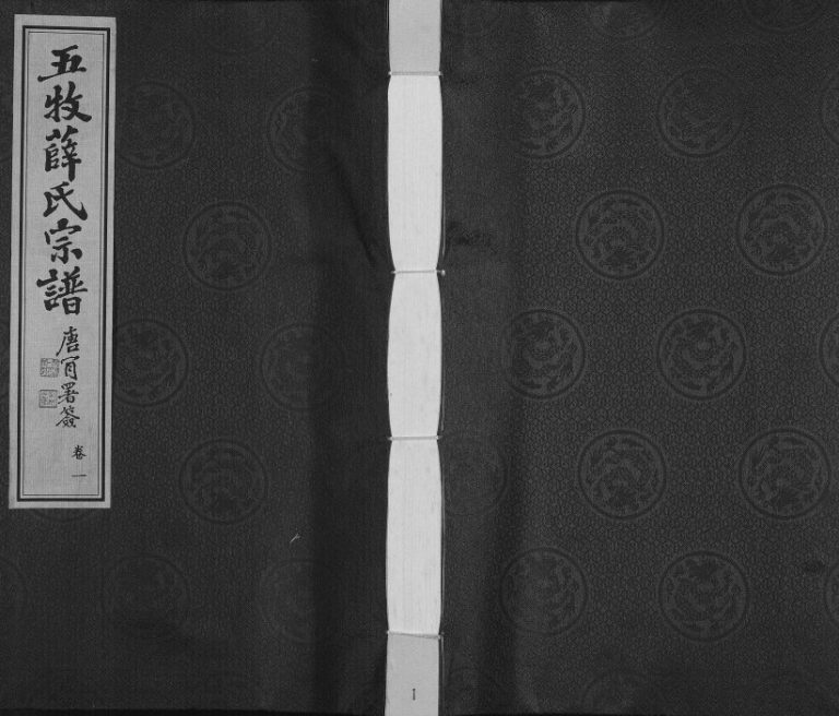 2010年修五牧薛氏宗谱 [22卷首1卷]江苏武进 无锡三凤堂薛姓电子版族谱下载