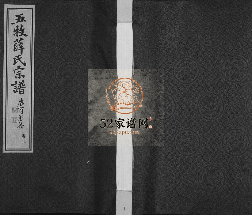 2010年修五牧薛氏宗谱 [22卷首1卷]江苏武进 无锡三凤堂薛姓电子版族谱下载
