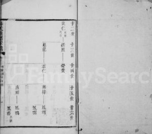 1879年修薛氏族谱采遗 江苏江阴薛姓电子版家谱下载
