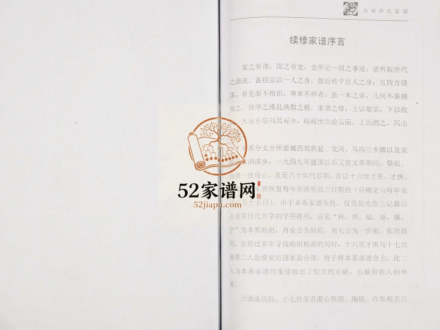 2013年修盐城薛氏族谱 江苏三凤堂薛姓电子版家谱下载