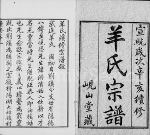1911年修武进羊氏宗谱[8卷]江苏岘山堂羊姓电子版族谱下载