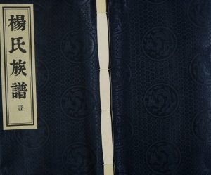 2010年维扬江都杨氏重修族谱[8卷]江苏江都 泰州 新疆杨姓电子版家谱下载