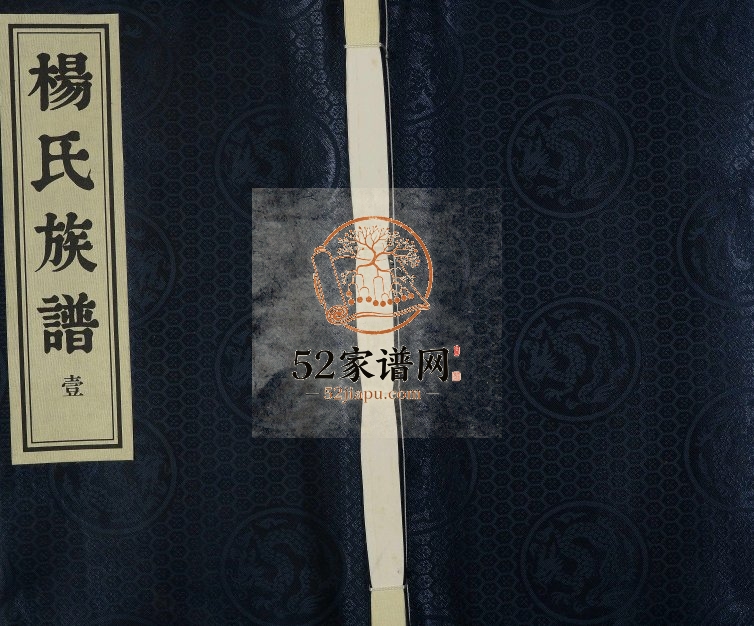 2010年维扬江都杨氏重修族谱[8卷]江苏江都 泰州 新疆杨姓电子版家谱下载