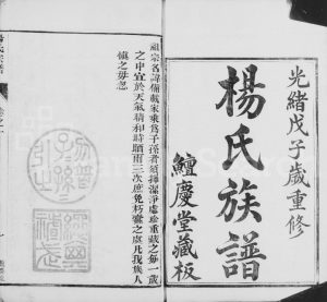 1888年修京江杨氏宗谱[10卷]江苏镇江鱣庆堂杨姓电子版族谱下载