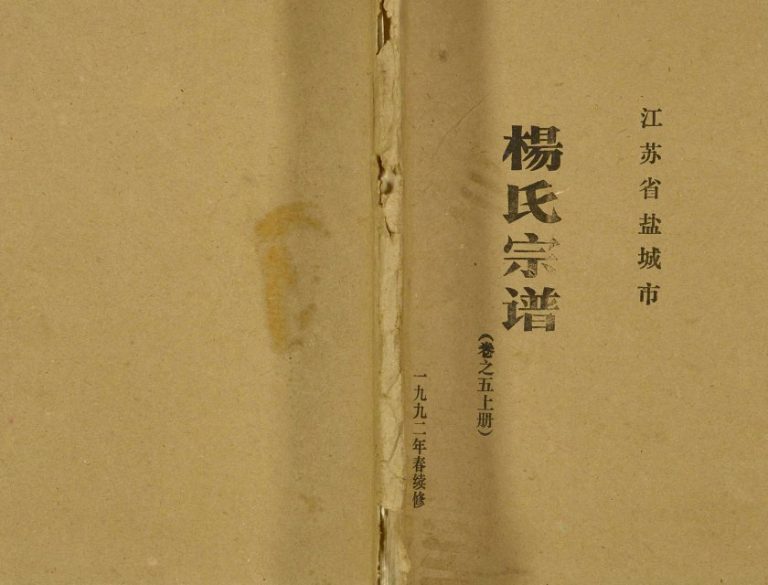 1992年修盐城杨氏宗谱 江苏四知堂杨姓电子版族谱下载