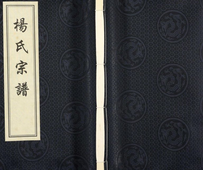 2009年六修杨氏宗谱庙湾蛤蜊港支系 阜宁 淮安弘农郡四知堂杨姓电子版族谱下载