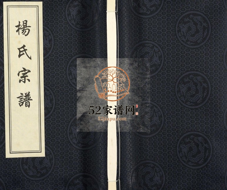 2009年六修杨氏宗谱庙湾蛤蜊港支系 阜宁 淮安弘农郡四知堂杨姓电子版族谱下载