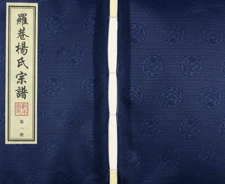 2017年常州罗巷杨氏第十次续修宗谱[32卷首1卷]江苏敦本堂杨姓电子版族谱下载