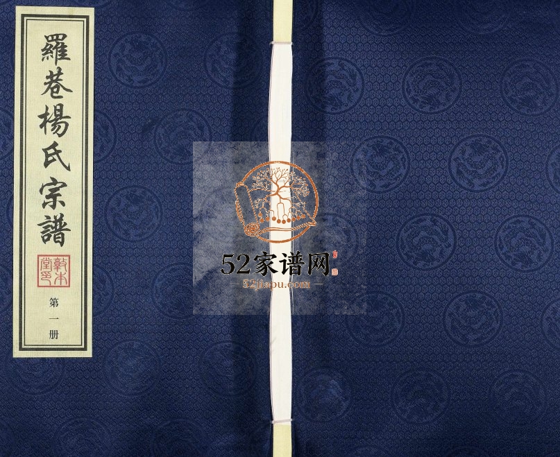 2017年常州罗巷杨氏第十次续修宗谱[32卷首1卷]江苏敦本堂杨姓电子版族谱下载