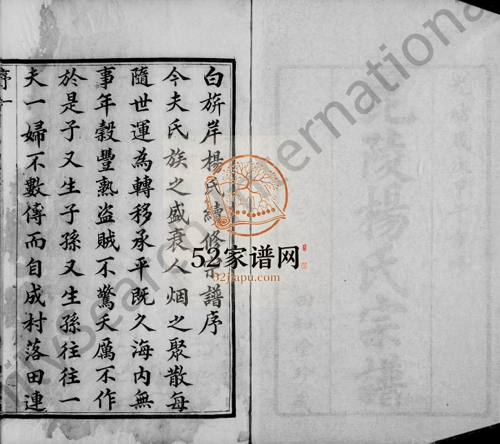 1894年修毘陵杨氏宗谱[12卷]江苏武进四知堂杨姓电子版族谱下载