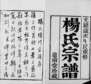 1904年修毘陵镇塘桥杨氏宗谱[14卷]江苏武进道南堂杨姓电子版族谱下载