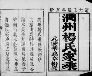 1832年修润州杨氏族谱[4卷]江苏镇江杨姓电子版家谱下载