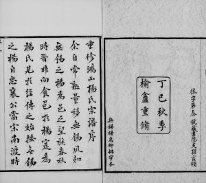 1917年重修鸿山杨氏宗谱[12卷首1卷]江苏无锡杨姓电子版族谱下载