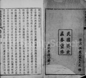 1923年修盐城杨氏宗谱[24卷首末各1卷]江苏杨姓电子版族谱下载
