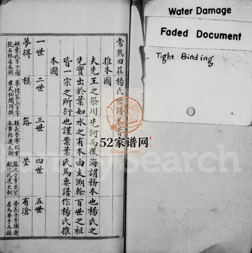 1910年修常熟田庄杨氏世谱 江苏杨姓电子版族谱下载
