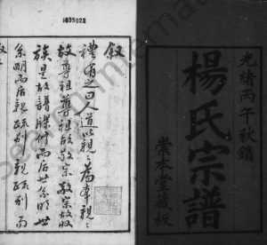 1906年修杨氏宗谱[12卷]江苏无锡崇本堂杨姓电子版族谱下载