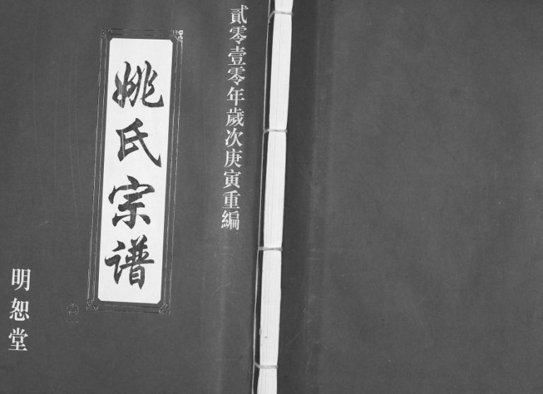2010年修姚氏宗谱[2卷]江苏宜兴明恕堂姚姓电子版族谱下载