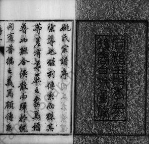 1872年修毘陵姚氏历纂宗谱[30卷首1卷]江苏武进 金坛 宜兴明恕堂姚姓电子版族谱下载