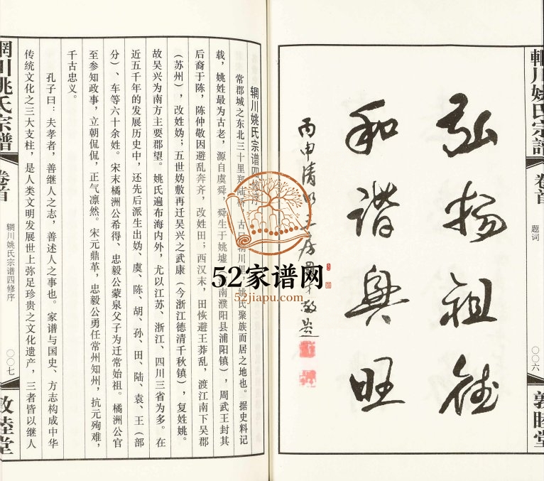 2015年四修辋川姚氏宗谱[13卷首1卷]江苏常州敦睦堂姚姓电子版族谱下载