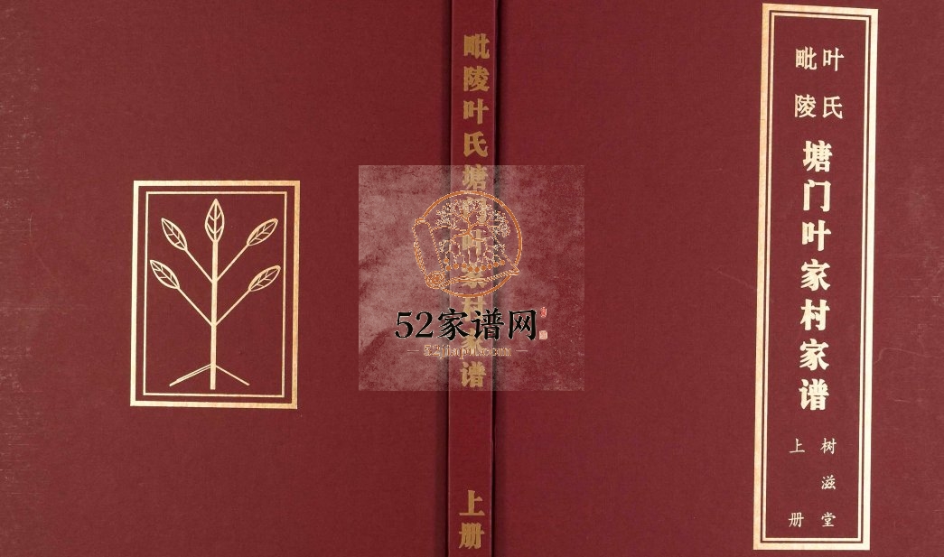 2016年修毗陵叶氏塘门叶家村家谱 江苏常州树滋堂叶姓电子版族谱下载