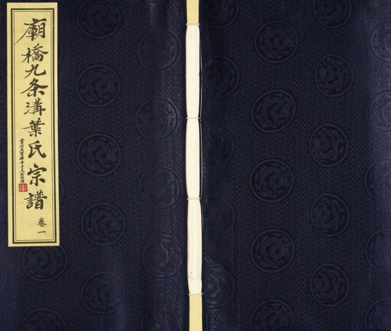 2010年修庙桥九条沟叶氏宗谱[2卷]江苏常州树滋堂叶姓电子版族谱下载
