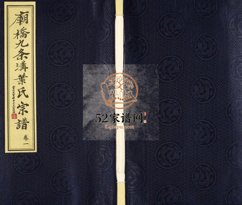 2010年修庙桥九条沟叶氏宗谱[2卷]江苏常州树滋堂叶姓电子版族谱下载