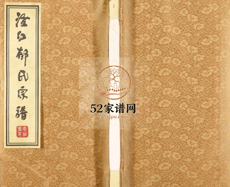 2013年十四修澄江郁氏宗谱[26卷]江苏江阴念祖堂郁姓电子版族谱下载
